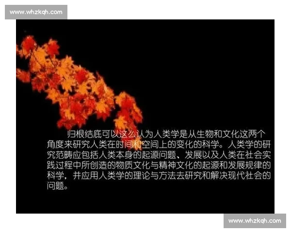 奥运会的起源意义与全球体育精神全面解读